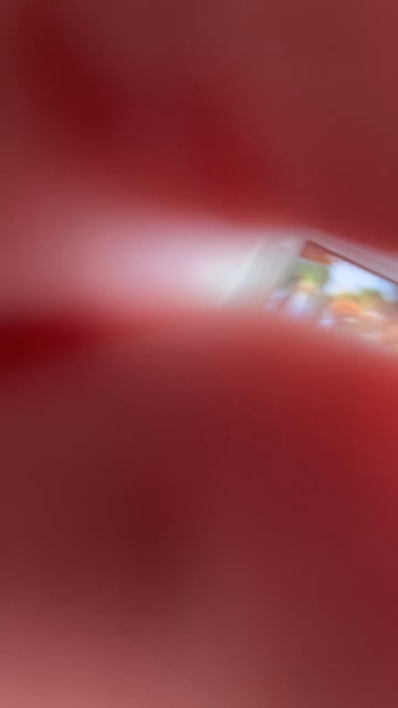 Sexyroxy2001  22-06-2021